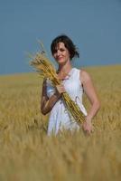 young woman in wheat field at summer photo