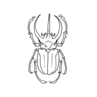 horned beetle Insects and bug illustration png