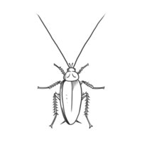 insetos de barata e ilustração de bug png