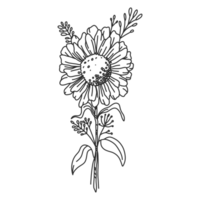 lineart de fleurs pour la décoration de mariage et vintage, illustration florale dessinée à la main pour l'élément de conception png