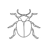 insectos escarabajos e ilustración de errores png