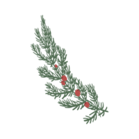 les feuilles et les fleurs de pin sont dessinées à la main dans des couronnes dans un arrière-plan isolé. éléments de conception pour les décorations de conception de noël png