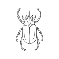 horned beetle Insects and bug illustration png