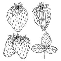 Hand drawn strawberry with leaves and flowers set. Outline black and white vector illustration. Doodle plants and sweet berries isolated on white background