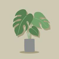 simplicidad monstera planta dibujo a mano alzada diseño plano. vector