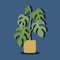 simplicidad monstera planta dibujo a mano alzada diseño plano. vector