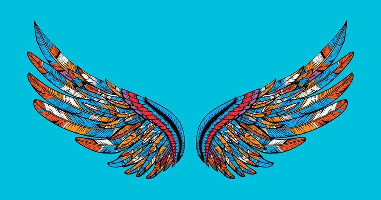 bird wing abstract vector