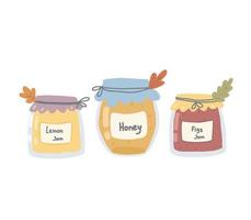 Illustration of a jar of jam, honey. Jams from fruits and berries.  Illustration for postcard, magazine, web, prints. vector