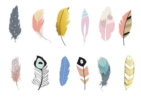 cute feather object illustration