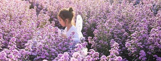 Asian little girl wear a magic ballet fairy costume in beautiful purple of margaret flowers field. photo