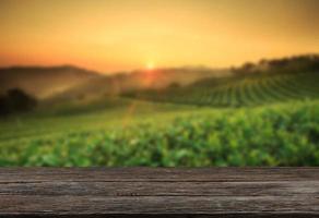 Empty wooden table with view of mountain or wooden desk with plantation nature with bokeh background, copy space for your text photo