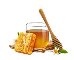 panal dulce y miel fresca con cucharón de miel aislado en fondo blanco con espacio para copiar, productos de abejas por concepto de ingredientes naturales orgánicos foto