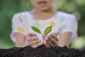 Close up hands little girl holding plant in nature. photo