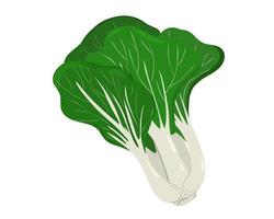 repollo pak choi chino aislado sobre fondo blanco. vector