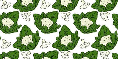 Seamless pattern fresh head of cauliflower and its inflorescence with green leaves. Whole and slice. Hand drawn or doodle. vector