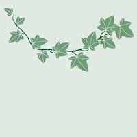 Simplicity ivy freehand drawing flat design. vector