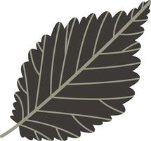 Autumn leaf from a tree. vector