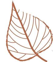 hoja de otoño de un árbol. vector