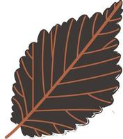 Autumn leaf from a tree. vector