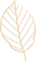 Autumn leaf from a tree. vector