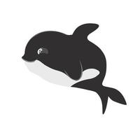 Cute Chubby Whale vector