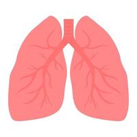 Human lungs icon. Vector illustration.