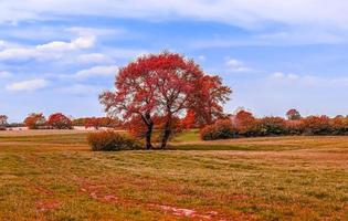 hermosa vista panorámica sobre un paisaje dorado de otoño que se encuentra en europa foto