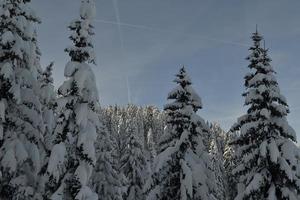 paisaje de montaña de invierno foto