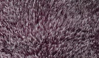 Detailed close up view on samples of cloth and fabrics in different colors found at a fabrics market photo