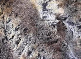 Detailed close up view on samples of cloth and fabrics in different colors found at a fabrics market photo