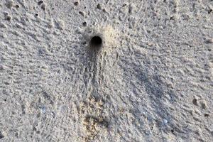 Beautiful shots of the white beach sand on the Seychelles paradise island with footprints photo