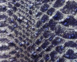 Detailed close up view on samples of cloth and fabrics in different colors found at a fabrics market photo