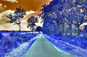 Beautiful purple infrared landscape in high resolution photo