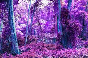 Beautiful fantasy infrared shots of palm trees on the seychelles islands. photo