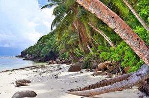 día soleado vista a la playa en las islas del paraíso seychelles foto