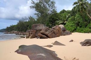 día soleado vista a la playa en las islas del paraíso seychelles foto