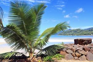 Sunny day beach view on the paradise islands Seychelles photo