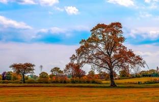 hermosa vista panorámica sobre un paisaje dorado de otoño que se encuentra en europa foto