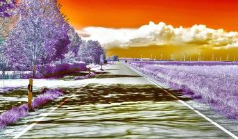 Beautiful purple infrared landscape in high resolution photo