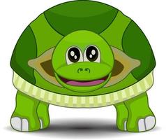 Cartoon funny turtle front view isolated on white background vector