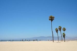 Palm trees and volleyball nets on Venice beach Los Angeles California photo