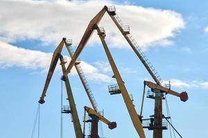 Harbor cranes, container ship terminal, cargo container yard photo