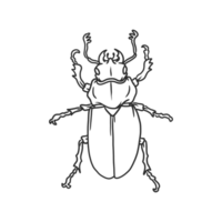 insetos de besouro e ilustração de bug png