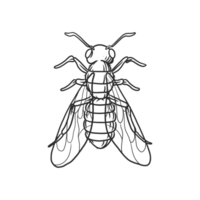 insetos de abelha e ilustração de bug png