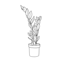 house plant illustration png