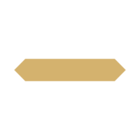 basic shape design element in golden color png