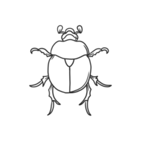 beetle Insects and bug illustration png