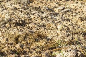 Texture of the land plowed by a plow field photo