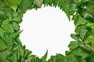 Green leaves circle frame with white empty copy space in center, flat lay top view