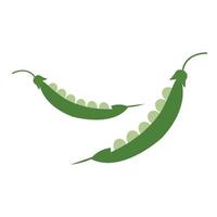 Peas isolated on a white background vector image with a vector illustration